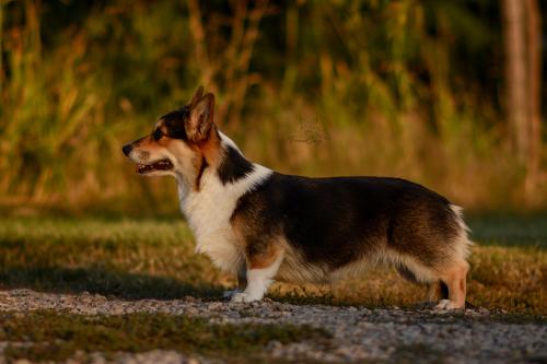 27232130 6032b97c1e570f7e6be6d0a23b702ce0 xl