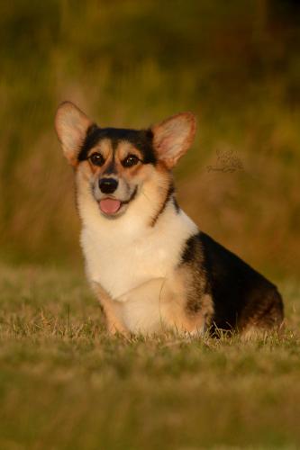 27232132 b9430c0a2c4f752515abf030df70395d xl