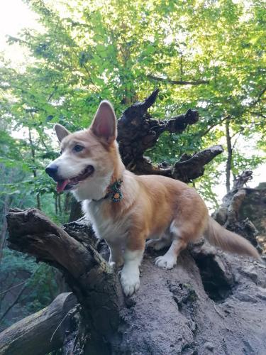 26955241 1f42622e77b726e92902aecd67135a5e xl