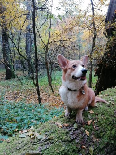 26977157 179df8cb83d2b1535124a2420d7a62d0 xl