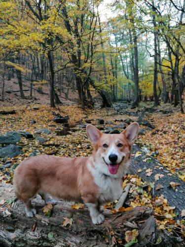 26977159 300a273891f12767e81acbd6585fbccd xl