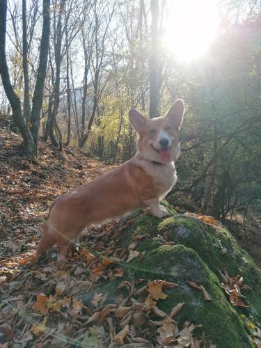 26977161 3235cfe0eb6c056b94a06c0e04614b50 xl