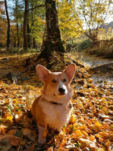 26977163 d72bf156f497f923fa3e73b332ec338a xl