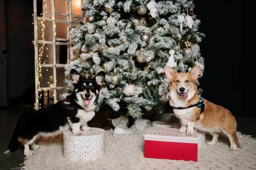 27007209 b941723b06bfcab8d659205baf1bcb98 xl