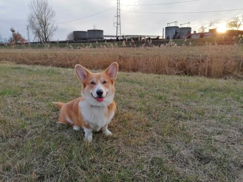 27007845 687502bc4374499553a08bb8eb2907ff xl