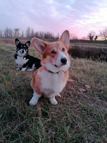 27007847 28f01470f68be8665c9df1eb8d00419d xl