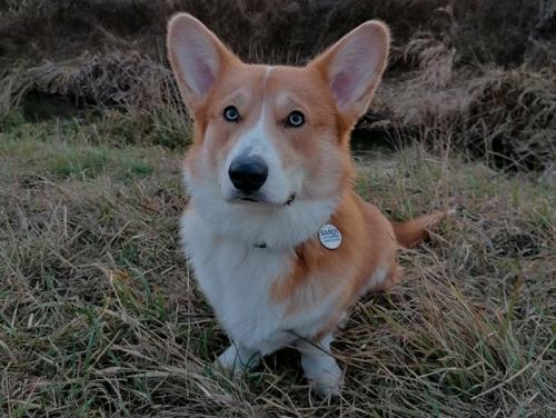 27007849 a91a68de411ea71d70a473ef64d4526b l