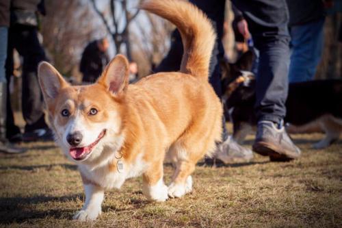 27025821 581cd6e2e56516df0a765fbfa271687a l