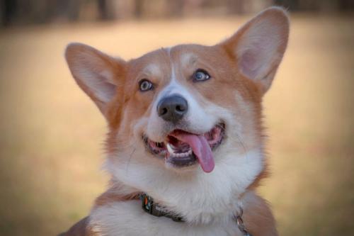 27025823 88d2faf9aa197ffd59292586a6b3bf51 l