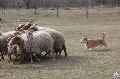 27044855 e7872b0f9a91f4c6d18b0739e362e2a9 xl