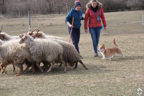 27044857 b23ea7ad3977022a6f9d34af1281d550 xl