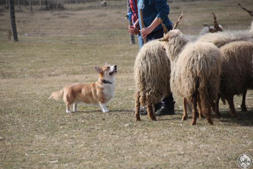 27044859 b130342a2cbb189616d47c508a7db596 xl