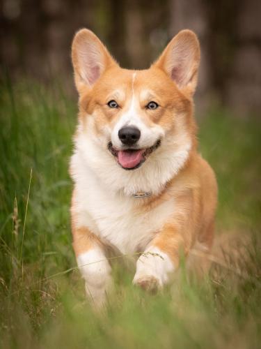 27061795 bc8856d01945ce9aa0bb63c7ac2cd24e xl