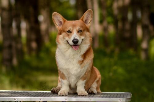 27062093 b8e0848d782ab2669579f335a852a75b xl