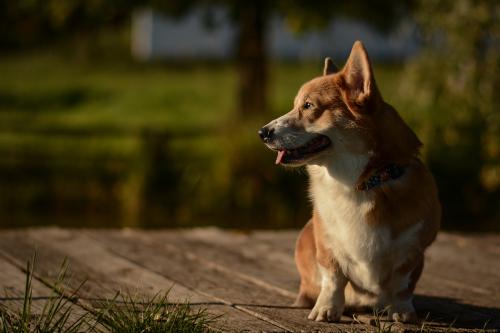 27130662 ff4919656b4ff4a39e3eda7c26209ef9 xxl