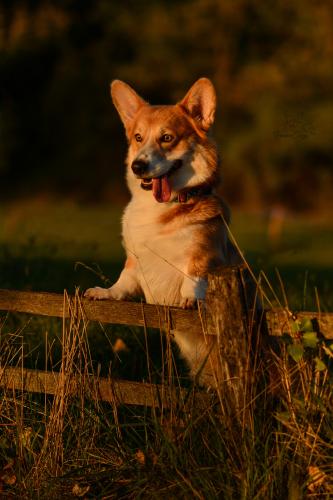 27130666 c3ff316d96e4603e6209c66d693f6542 xl