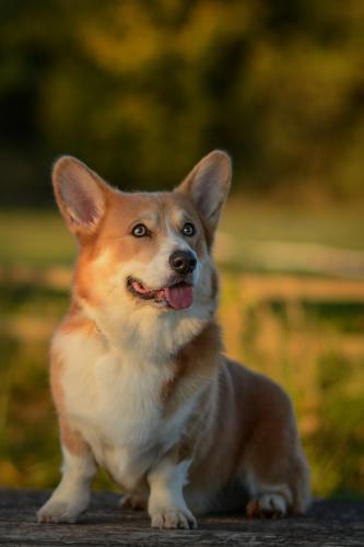 27130670 1eb37c7cd9001eaf9d886ac03f81702d xl