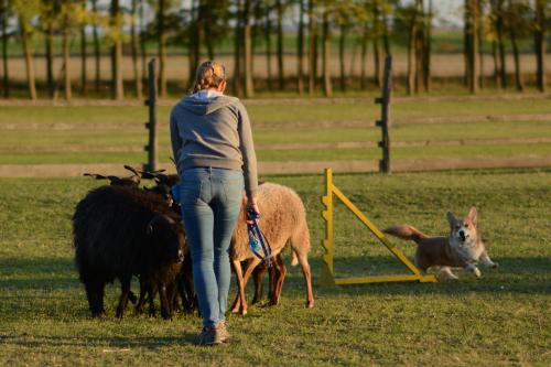 27130700 d798abd2ba9b41efcfede9a61ea46e74 xl