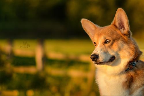 27139178 2718e7b78be7780d3bcc6907af4192ec xl