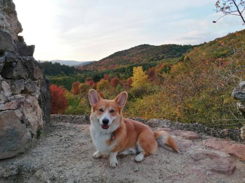 27139182 db9c939c11f9870afeb55e46a82744ad xl