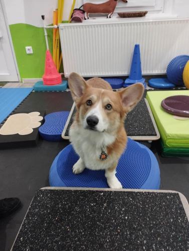 27176570 f5eb440ed5e0aa4dc89454f01efe3014 xl