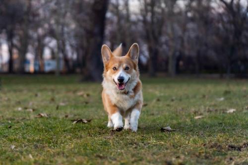 27176572 54742c235dc9368d9e2b62728aaafee1 xl