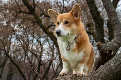 27176574 9b7c15ef4322453d63e2117f07f45ffd xl