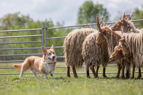 27191948 24130a339fdb0940581782e654e01a38 xl