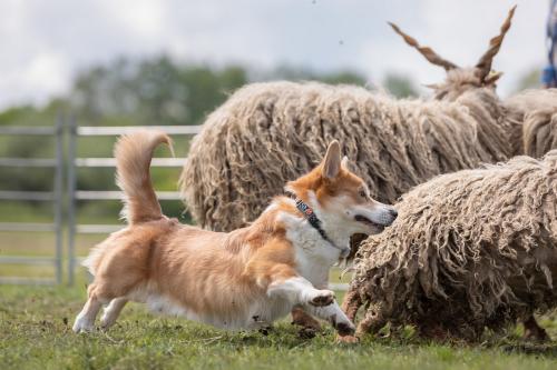 27191950 e39a1ed580c5ea5ae064dec959534168 xl