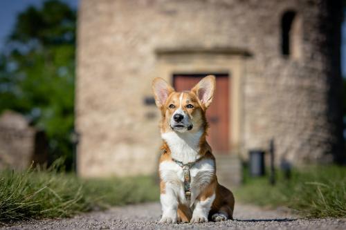 26918041 b19a7f4138ea83542b5f71272cabc5b4 xl