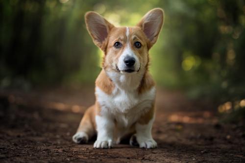 26918043 b9bbe6e8fb037f31060ff8245a0d9174 xl