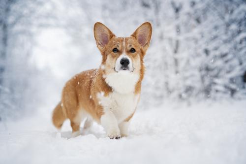 26997495 ea9c35f16816f393d8fb06cb7399e5d6 xl