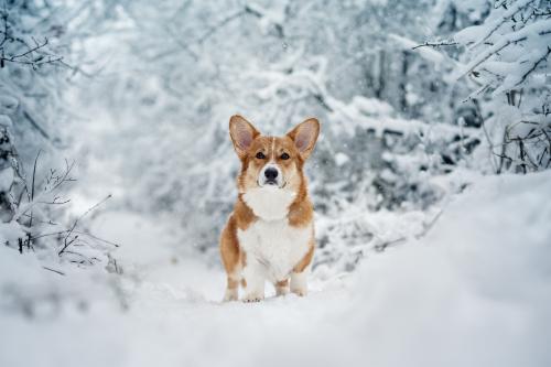 27007213 261b6069e74fb776602b7eee41a81596 xl