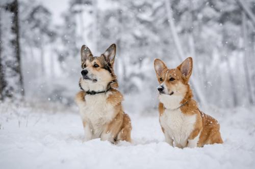 27007215 b37a74e22bde99a2aa06513f02dbe3ea xl