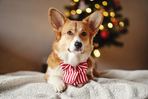 27007217 28c51beb1b4568c5e41ef2144f19591a xl