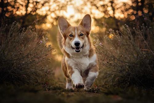 27025813 22ecbf7bb741fbe255c352e026b1b29a xl