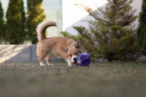 27025815 f70dc423a48217f5762111fe0ff18d5d xl