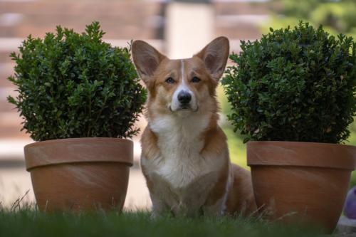 27139086 57f69b47d0d081521e74ee970398dee4 xl