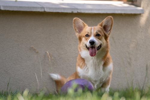 27139088 6708452dac88a77968540d70fcb15c18 xl