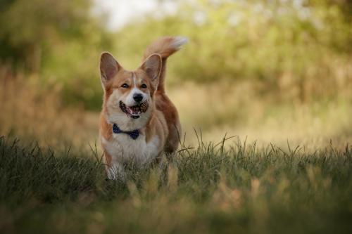 27139090 92b55f36762898da255a02a5e734c860 xl