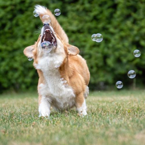 27139092 343bac63c5e0e7b122eb696955fa39f8 xl