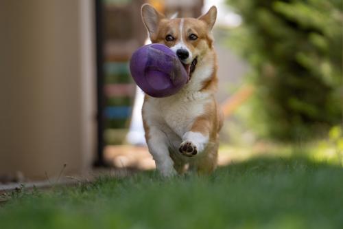 27139094 062e212f7d0b12fb6741be13a8c1a836 xl