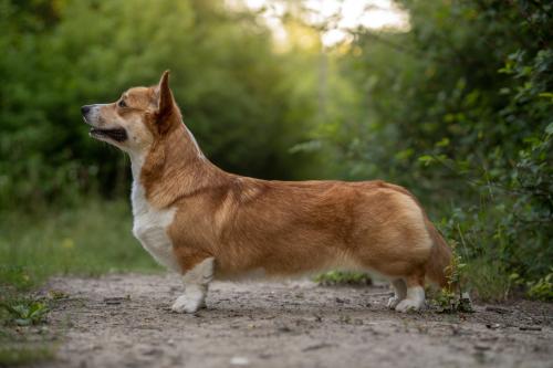 27139096 bf72b66288a0d2e5676e6980dec8d1ba xl