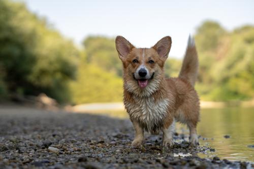 27139098 c505f6ba225a6c9fb588c44989e3189d xl