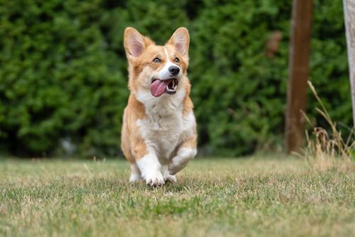 27139100 002ed34433e477d2c561af88d428f739 xl