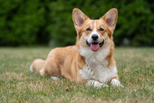 27139102 1087a50a757336a06a854c4e64f1ce29 xl