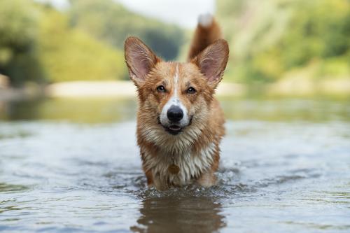 27139104 7049d99117b2abe53c48fac16dd36cdb xl