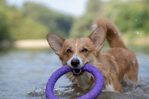 27139106 428976c76186093dd27d0a4aea1b827e xl