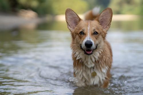 27139110 a2bbb1ab2ed8421ecb48e4817f91c6fe xl