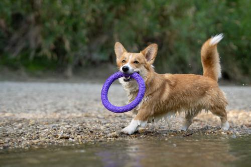 27139112 ee42eee43d11eee0183d1ade411383e4 xl